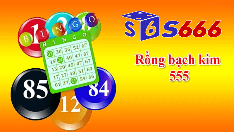 Soi cầu rồng bạch kim 555