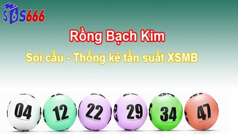 Chiến lược soi cầu rồng bạch kim 555 hiệu quả